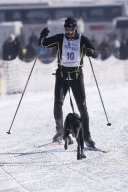 Lenk 2013